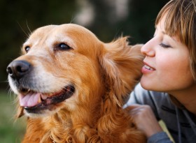 Bienvenidos a nuestra página web - ABANIKO 